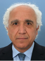 Prof. Alireza Baghai-Wadji