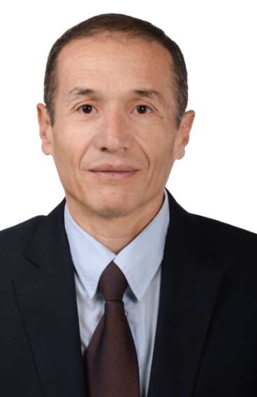 Prof. Naoufel Kraiem